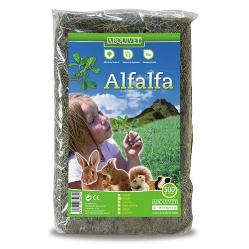 Fieno di Alfalfa