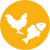 Proteina principale pollo/pesce